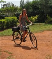 by africanadventure, Views[194]