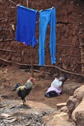 by africanadventure, Views[139]