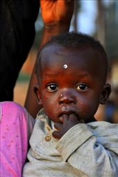 by africanadventure, Views[129]