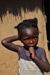 by africanadventure, Views[124]