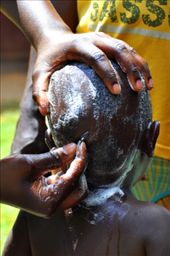 by africanadventure, Views[117]