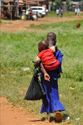 by africanadventure, Views[126]