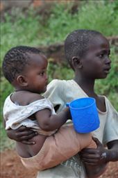 by africanadventure, Views[142]