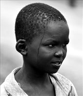 by africanadventure, Views[159]