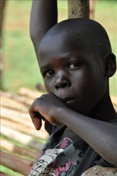 by africanadventure, Views[145]