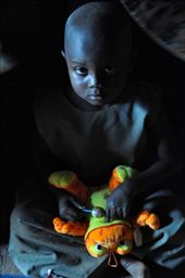 by africanadventure, Views[217]