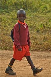 by africanadventure, Views[136]