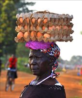 by africanadventure, Views[187]