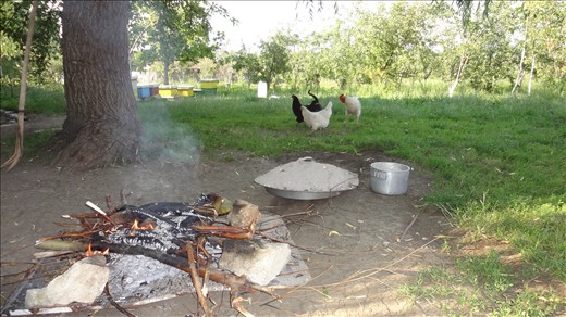 PHOTO-I: 
This photo is taken in a picturesque Kosovarian village that I have recently visited, and it shows the traditional way of preparing traditional food. In past, this method has been widely used throughout the country for baking. Nowadays it is used just sometimes to make/bake our traditional food, called “flija” because if flija is baked in this way, it will be very delicious. This takes place outside, during sunny days, and in general, it is a hard work. 
