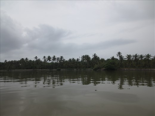 during a short journey, clicked with my panasonic digital cam