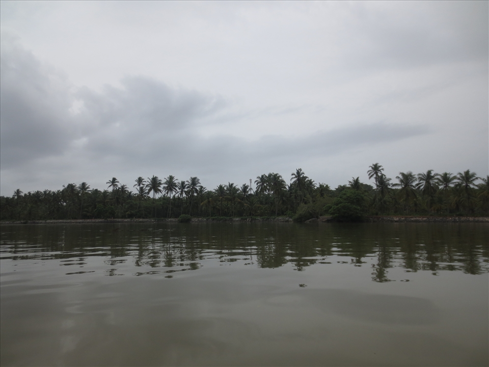 during a short journey, clicked with my panasonic digital cam