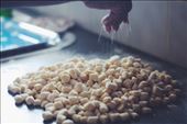 sprinkling flour on the gnocchi so they don't dry out: by agathab, Views[304]