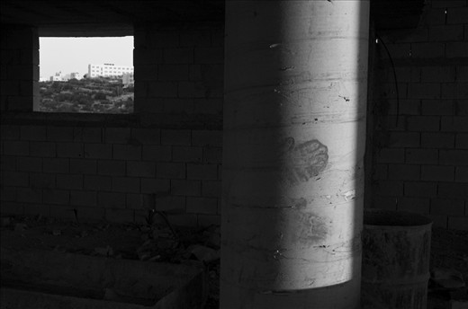  Prospect: a futur palestinian cooperative of grape juice. 