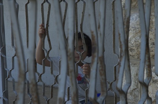 Beit Ommar. In front of the kid's eyes.