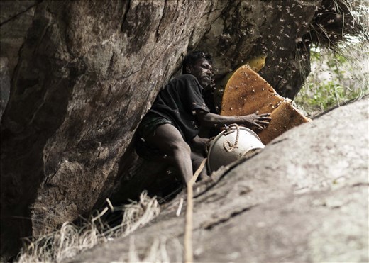 A honey hunter removing a honeycomb from which the honey will be drained