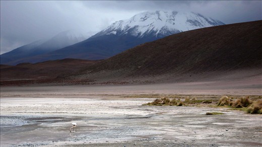 Lake with toxic properties in which live only pelicans.