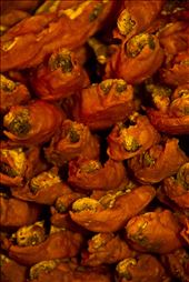 famous local Nadru ke pakora/snacks in Jammu & Kashmir: by ahmedsaifi, Views[553]