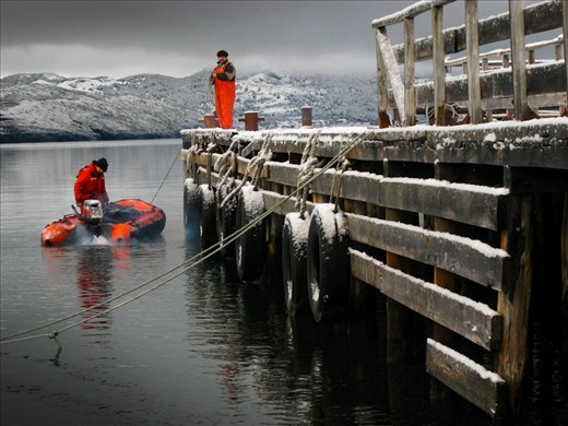 Cattle ranching in some of the most remote regions of Chile comes with its challenges. While pastures are plentiful and grass is green for the cattle, getting to an estancia - or ranch - accessible only by water becomes increasingly difficult in winter as temperatures drop below freezing. These workers prepare the small outboard motorboat for the two hour trip navigating the fjords of Last Hope Sound (Sena Ultima Esperanza) and then the large Serrano River before arriving back at the estancia.