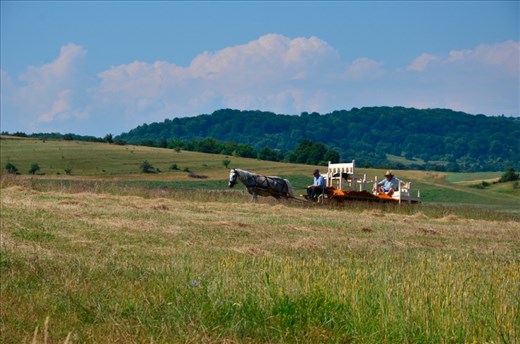 Life in Romanian villages enchants with its peace, tranquility and beautiful nature. People live in accordance with the nature. 