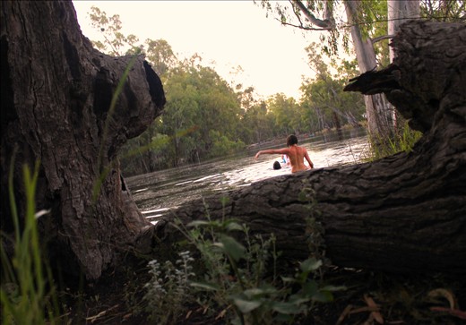 Cooling off: the local water hole