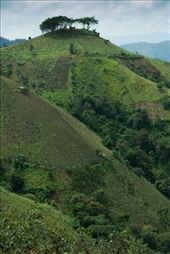 View from the fist stop onto Buddhist stupa: by aimonaput, Views[547]