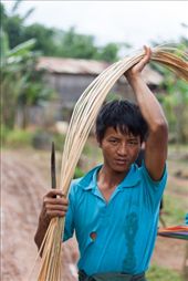 Bamboo for building houses: by aimonaput, Views[340]