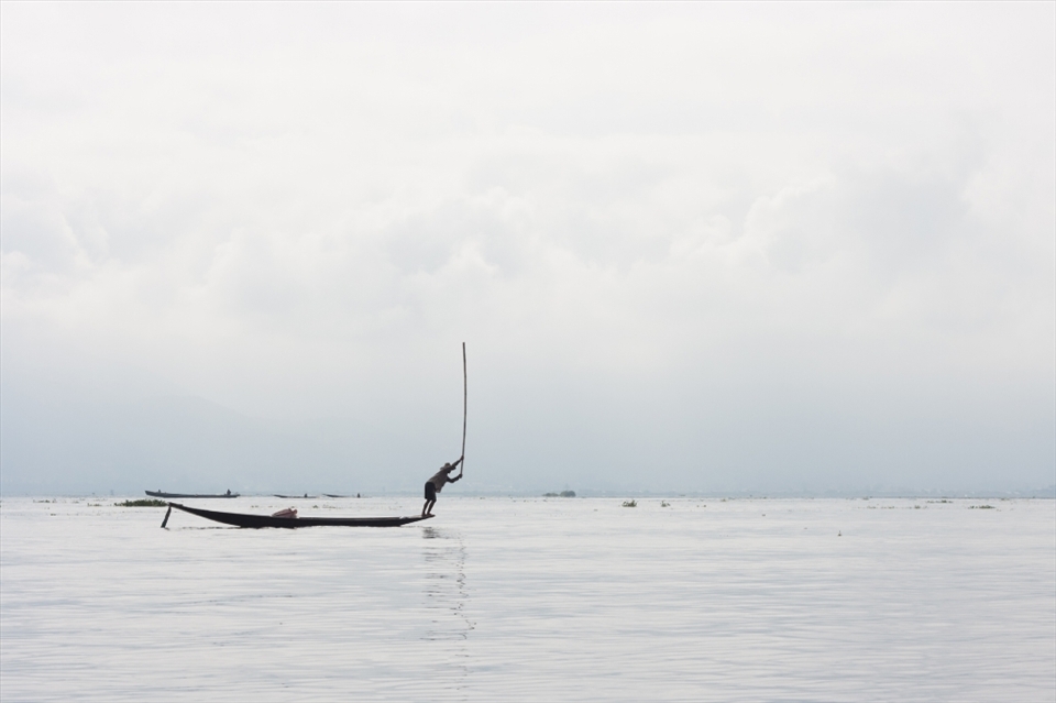 The lake is unusually shallow, around two to three meters so the locals developed a distinctive technique which includes battering the water surface with an oar to guide the fish in one direction.