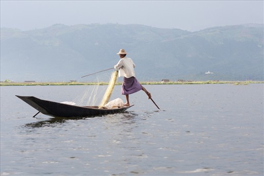 While on the other side a net is spread to catch these intentionally startled fish. The locals demonstrate their extreme skillfulness by standing at the stern and rowing with their leg as they are spreading the nets with their hands. 