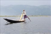 While on the other side a net is spread to catch these intentionally startled fish. The locals demonstrate their extreme skillfulness by standing at the stern and rowing with their leg as they are spreading the nets with their hands. : by aimonaput, Views[501]