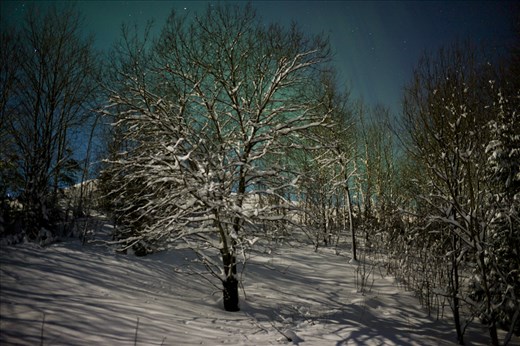 The aurora borealis on a full moon lit night on the outskirts of Hemnesberget