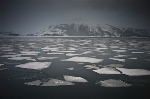 The winter frozen bay of Dalabukta on the Sorfjorden fjord.
