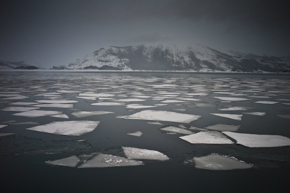 The winter frozen bay of Dalabukta on the Sorfjorden fjord.
