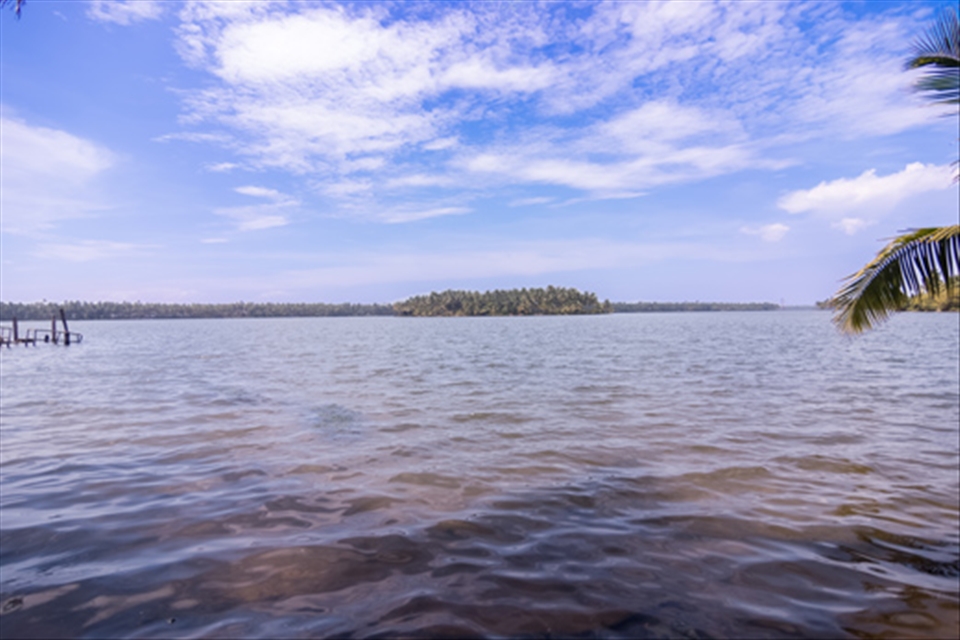 Another view of Kavvayi Backwater.