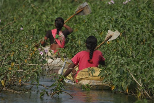 Fisherwomen using boats and oars made from recycled waste to go to the floating 