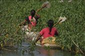 Fisherwomen using boats and oars made from recycled waste to go to the floating : by ajay-chandwani, Views[938]