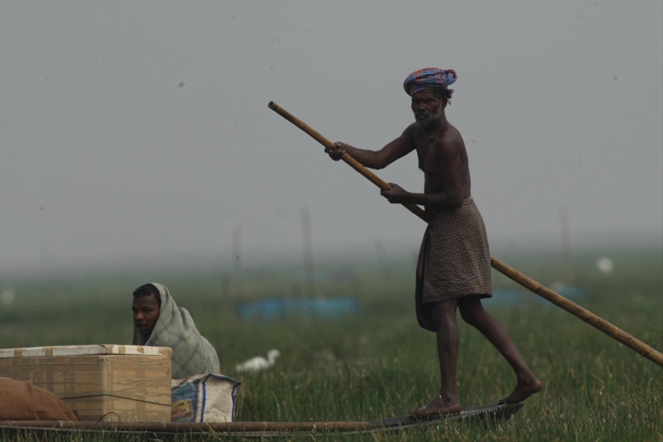 Fishermen of Chilika Boat Community with their catch going to the market to trad