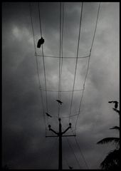 When it rains. The mood resonated in the snap.: by ajcl, Views[295]