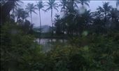 Green Peace : by akanksha, Views[241]