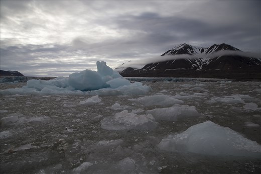 A few years back you couldn't see these mountains.  In bays such as this, where carvings are so frequent the sound is deafening and the glacial wall is blue from all the new chunks of ice breaking free that it becomes easy to see how small they are getting.  Slowly moving along, with the pop and crackle of ice around us, the ruts in the hill side speak of how much height and length has been lost from the glacier. 