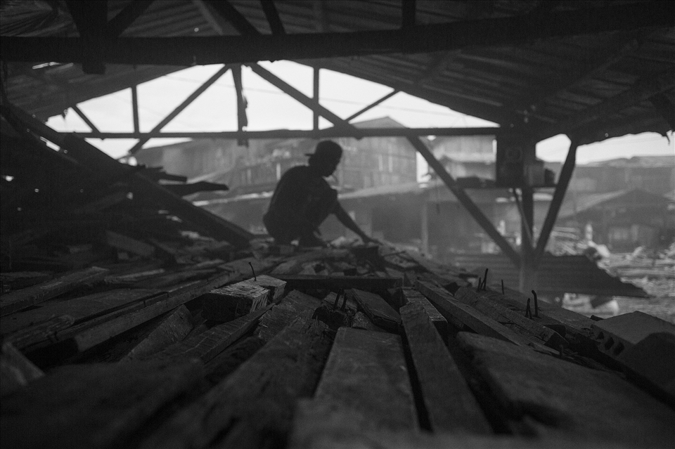 This worker, in his early age, tries to sort the stockpile of woods, covered wit