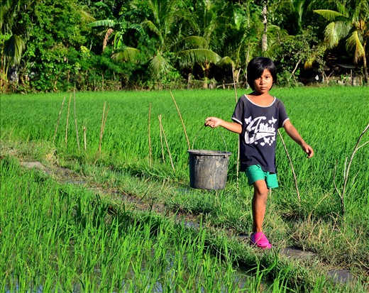 While waiting for some birfds to arrive, I saw this motherless kid in our barangay carrying a pail where she will put the left-over foods from their neighbors which will be used as food for their pigs.
