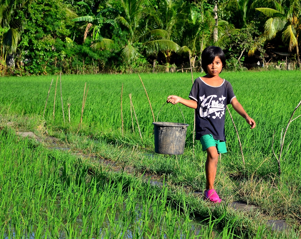 While waiting for some birfds to arrive, I saw this motherless kid in our barangay carrying a pail where she will put the left-over foods from their neighbors which will be used as food for their pigs.