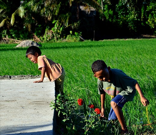 During my Christmas break, there are these bunch of kids playing. I was just amazes because these kids love playing under the sun, wetting their feet of  ricefield water. Gadgets are not so much to them unlike those kids in the city.