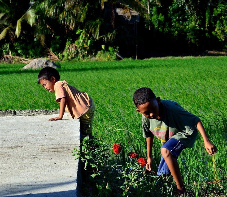 During my Christmas break, there are these bunch of kids playing. I was just amazes because these kids love playing under the sun, wetting their feet of  ricefield water. Gadgets are not so much to them unlike those kids in the city.
