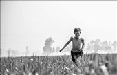 It shows the feeling of freedom: by akshansh, Views[182]