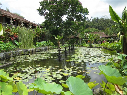 Jardin Monet Indonesien