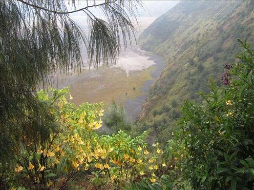 Vallee du mont Bromo Java