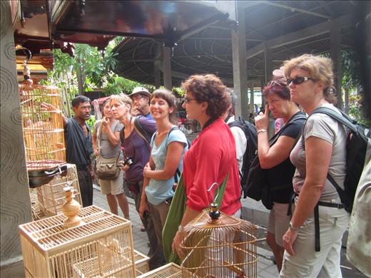 Combien pour les moineaux