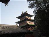 Temple Shaolin à Luoyang: by alainc, Views[326]