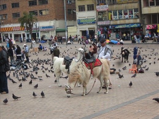 autre moyen de transport quand le bus est plein